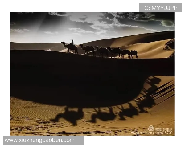 武汉足球队崛起之路欧锦赛背后的奋斗与荣耀