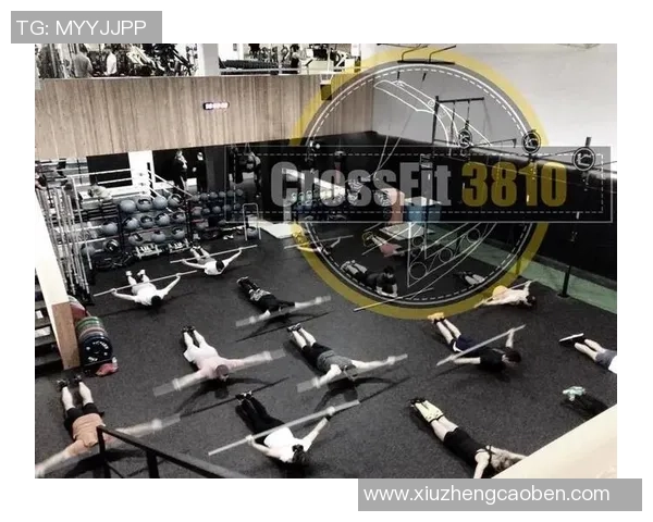 杭州排球队耐力之争引发热议球迷和专家各执己见