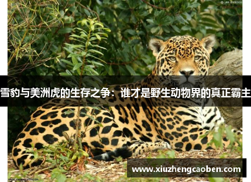 雪豹与美洲虎的生存之争：谁才是野生动物界的真正霸主